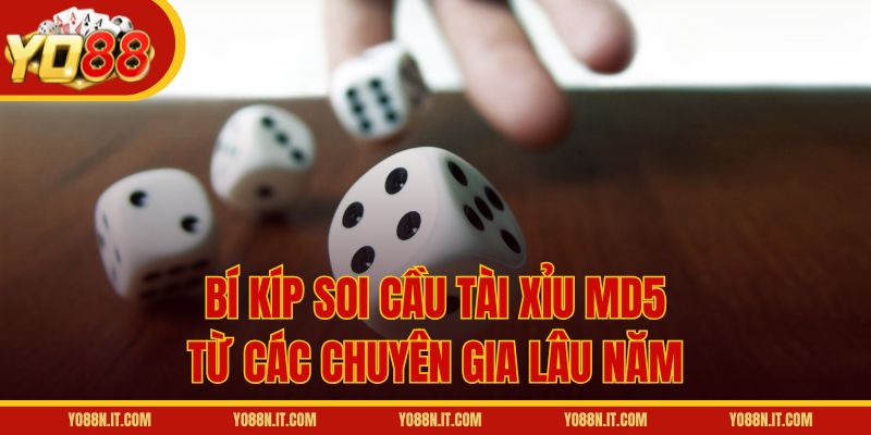 Bí kíp soi cầu Tài Xỉu MD5 từ các chuyên gia lâu năm
