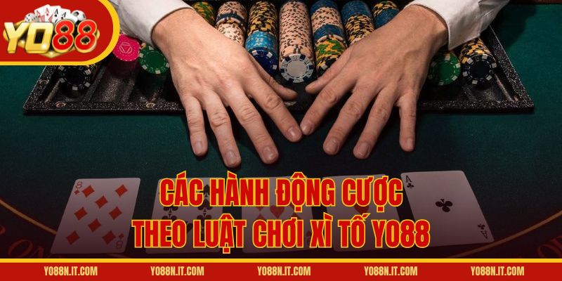 Các hành động cược theo luật chơi Xì Tố Yo88