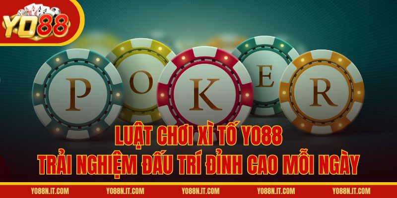 Luật Chơi Xì Tố Yo88 – Trải Nghiệm Đấu Trí Đỉnh Cao Mỗi Ngày