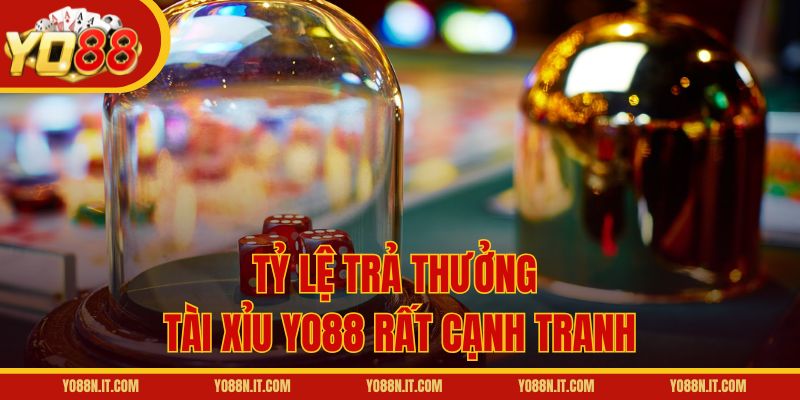 Tỷ lệ trả thưởng Tài Xỉu Yo88 rất cạnh tranh
